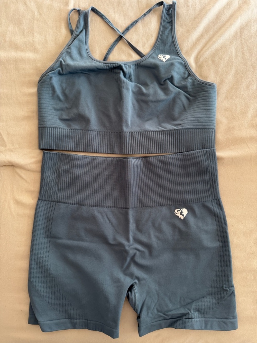 Seamless Ribbed Blue Active Set